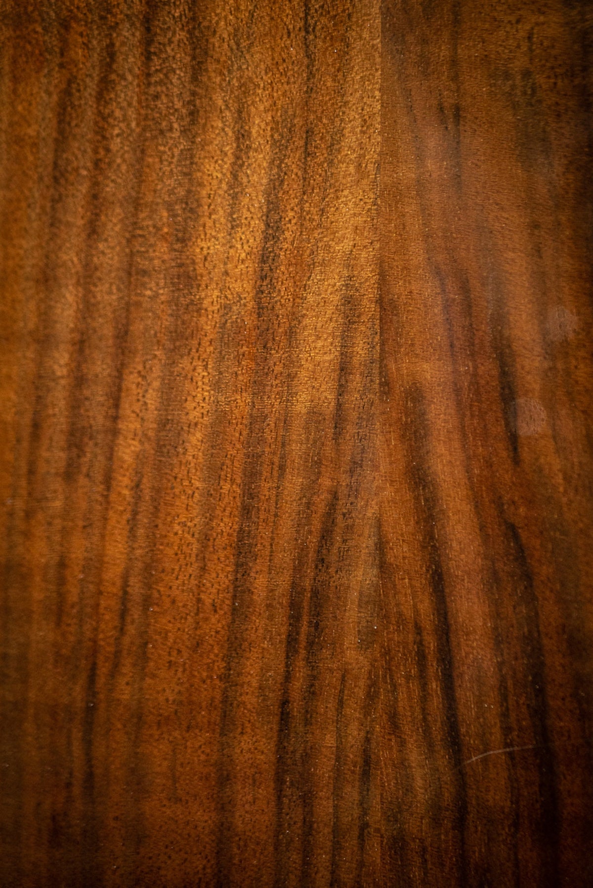 2019 Goodman Triple 0 Acoustic Guitar