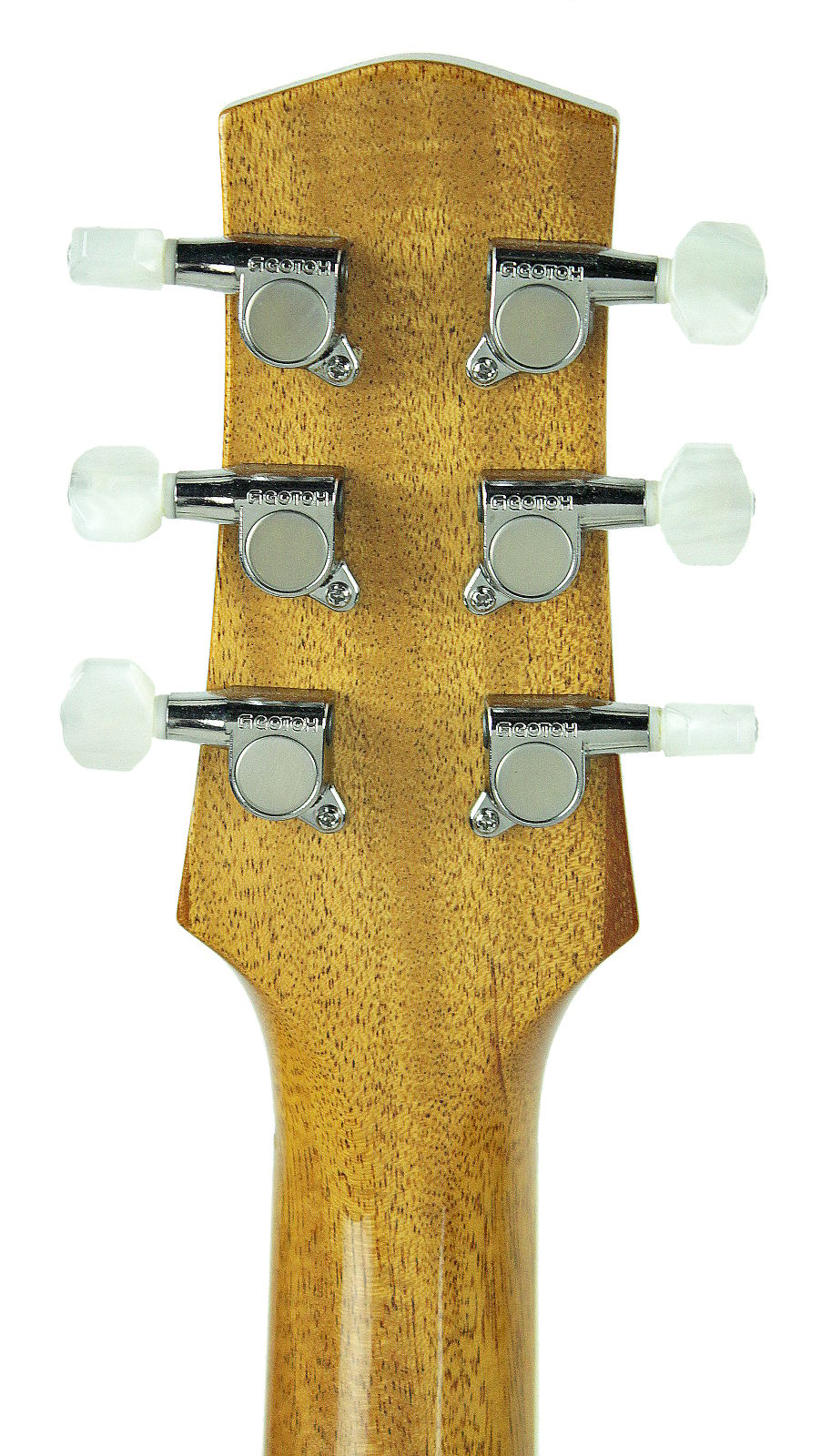 BP Rose Alexis Rose Semi Hollow Body in Honey Burst BP14052025