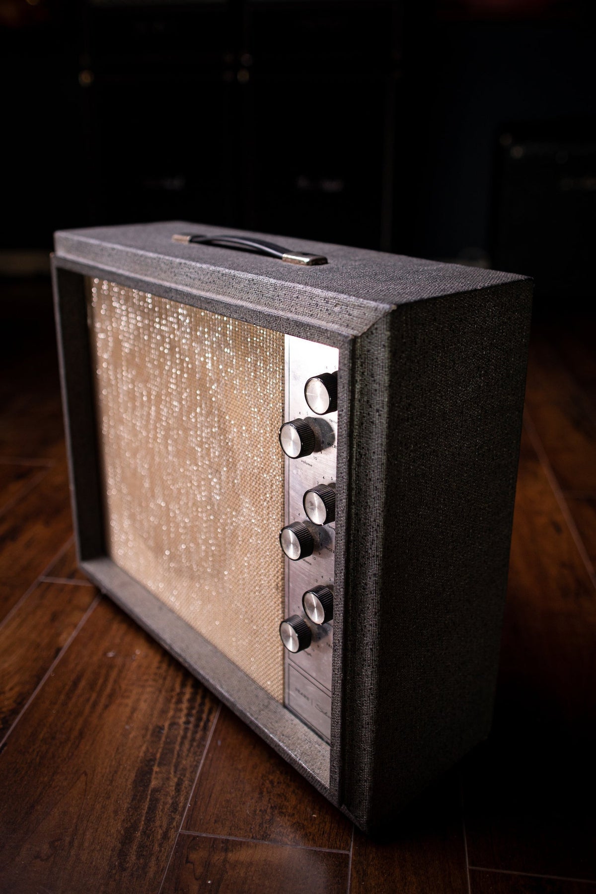 1966 Silvertone Model 1482 Combo Amp