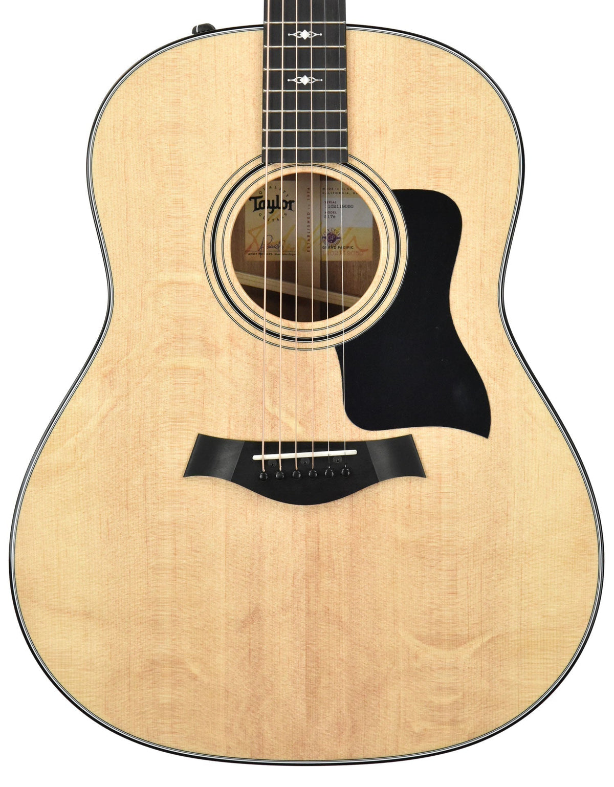 Taylor 317E V Class Bracing Acoustic Electric 1102119050