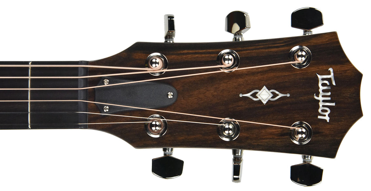 Taylor 317E V Class Bracing Acoustic Electric 1102119050