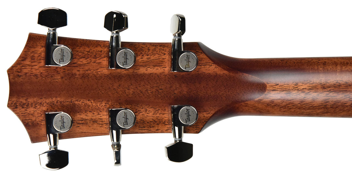 Taylor 317E V Class Bracing Acoustic Electric 1102119050