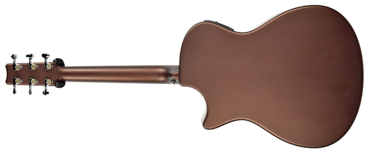 Rainsong Al Petteway Special Edition Carbon Fiber Acoustic Electric 19320
