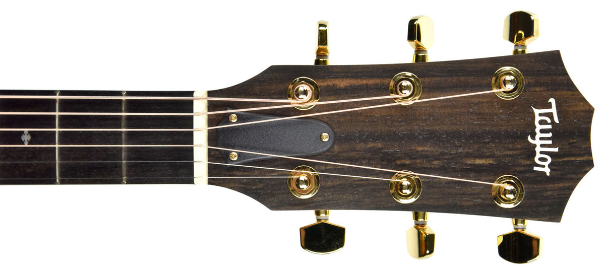 Taylor 224ce-K Deluxe Acoustic Electric Guitar 2106189600