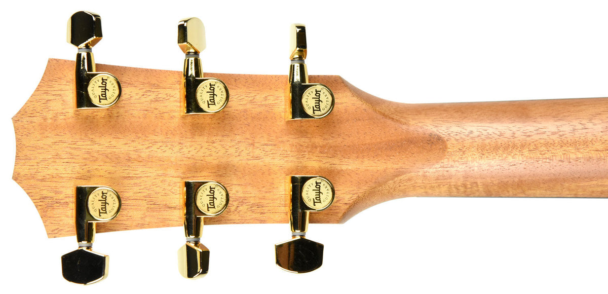 Taylor 224ce-K Deluxe Acoustic Electric Guitar 2106189600