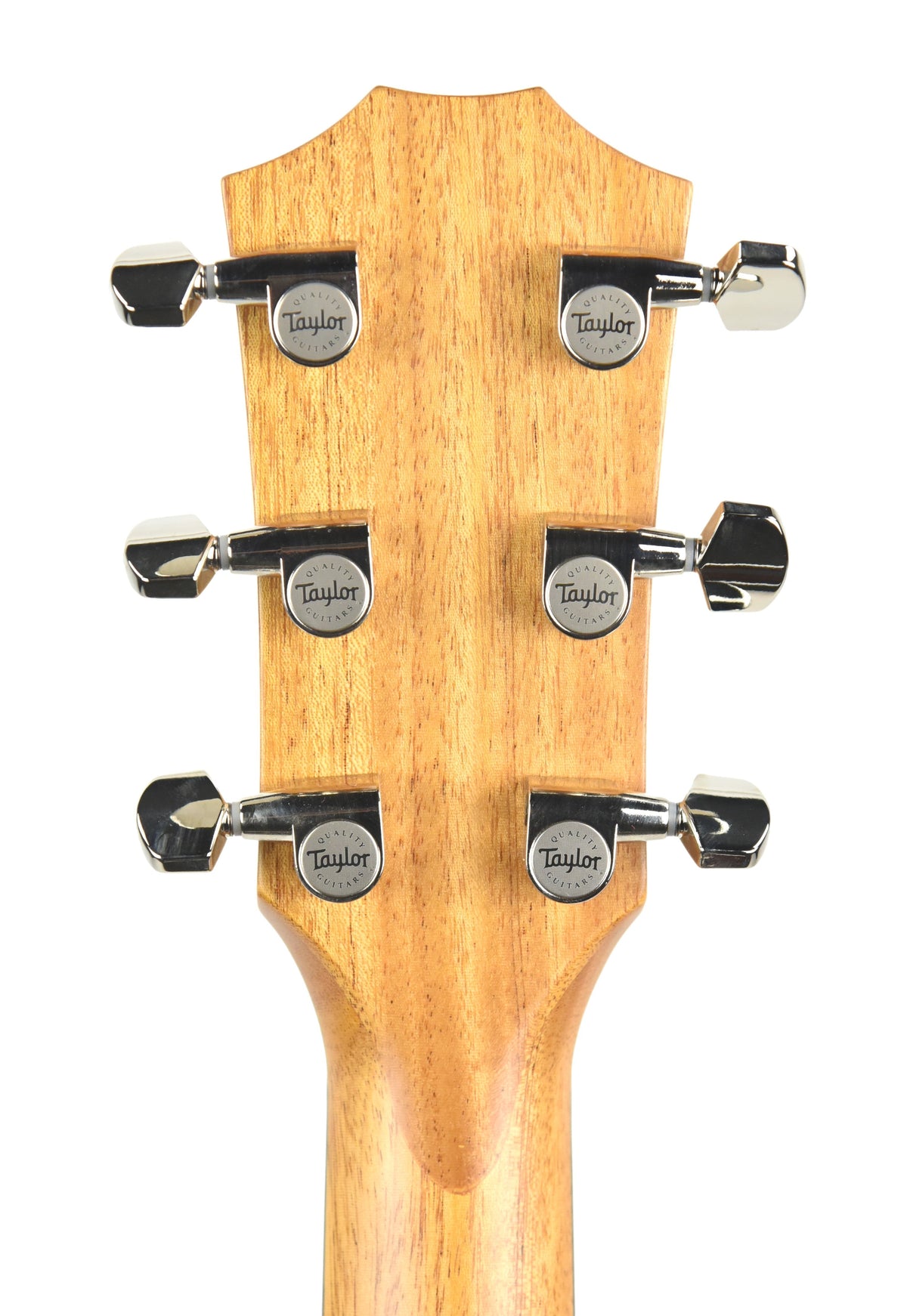 Taylor 414ce-R Acoustic Guitar with V Class Bracing 1106268081