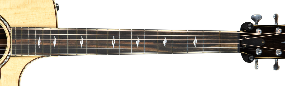 Taylor 814CE Deluxe V Class Bracing w/OHSC 1109188094
