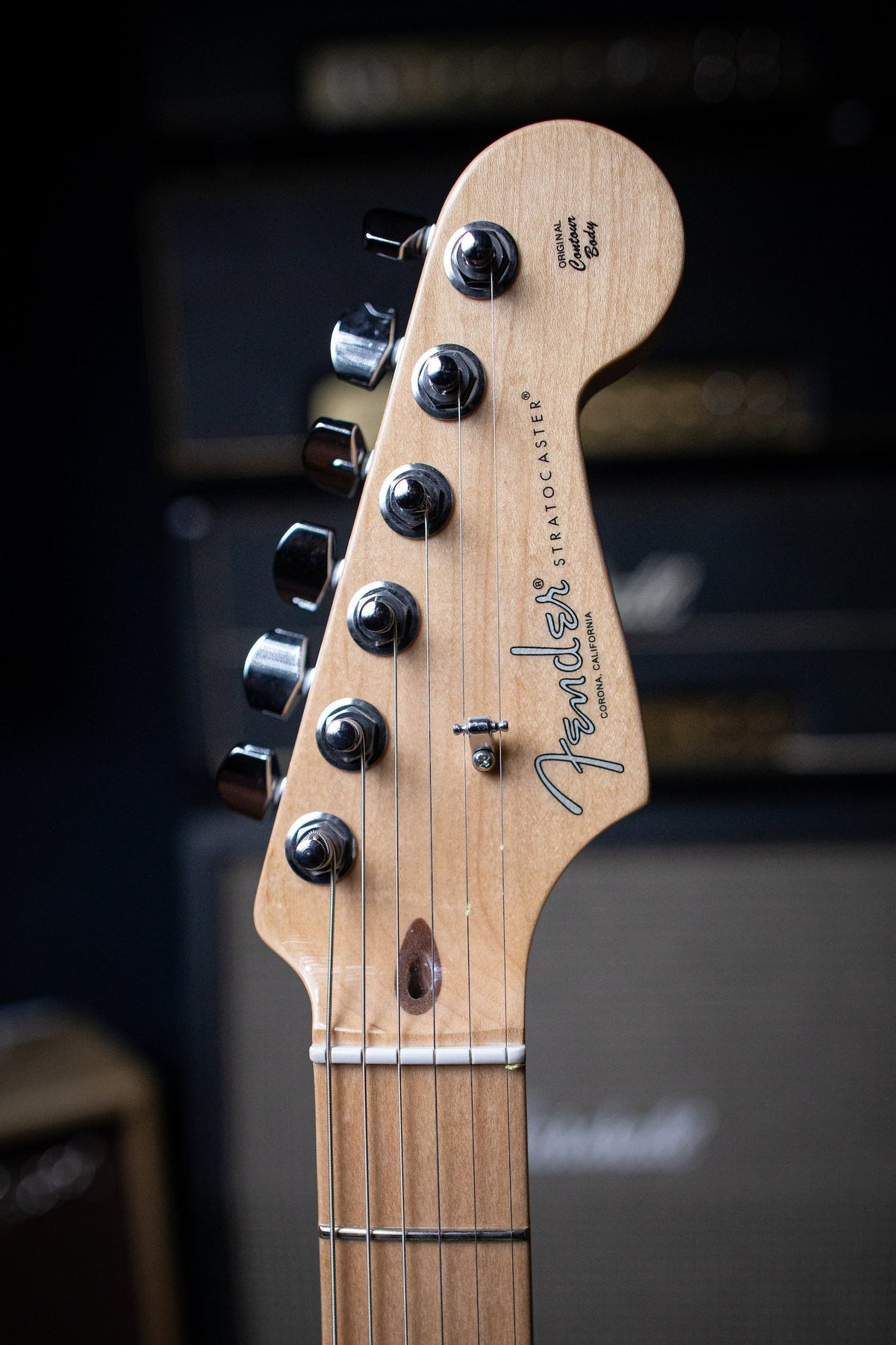 Fender American Professional Stratocaster Electric Guitar - Black