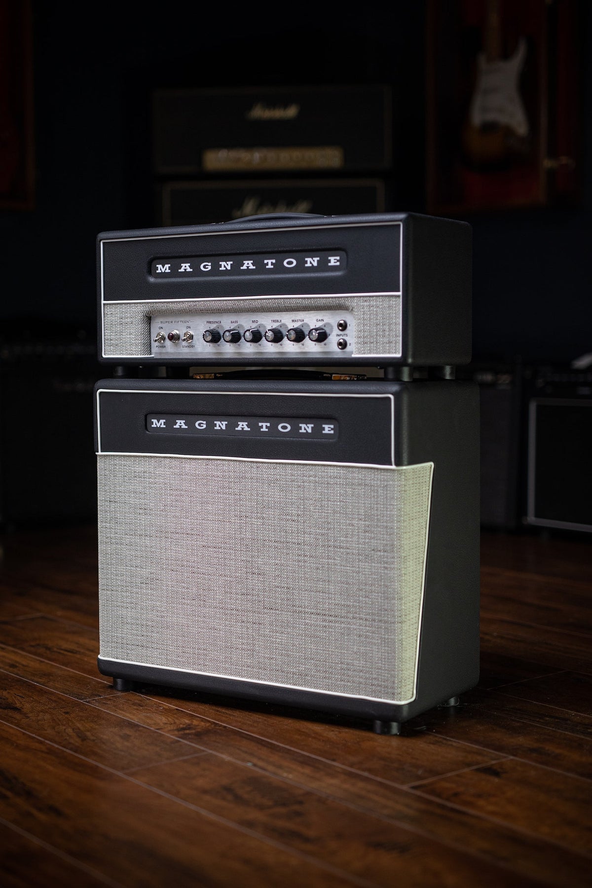 Magnatone Super Fifteen Tube Head Amp