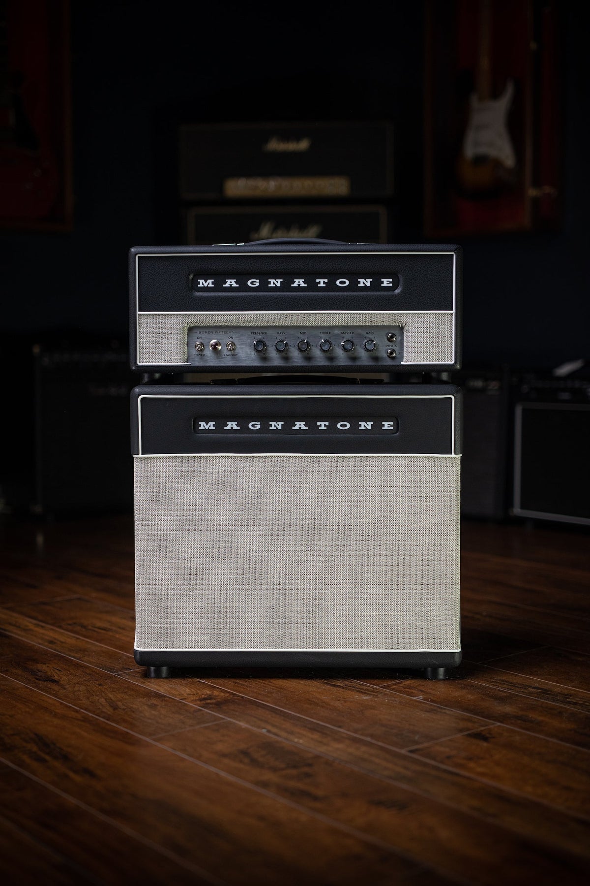 Magnatone Super Fifteen Tube Head Amp