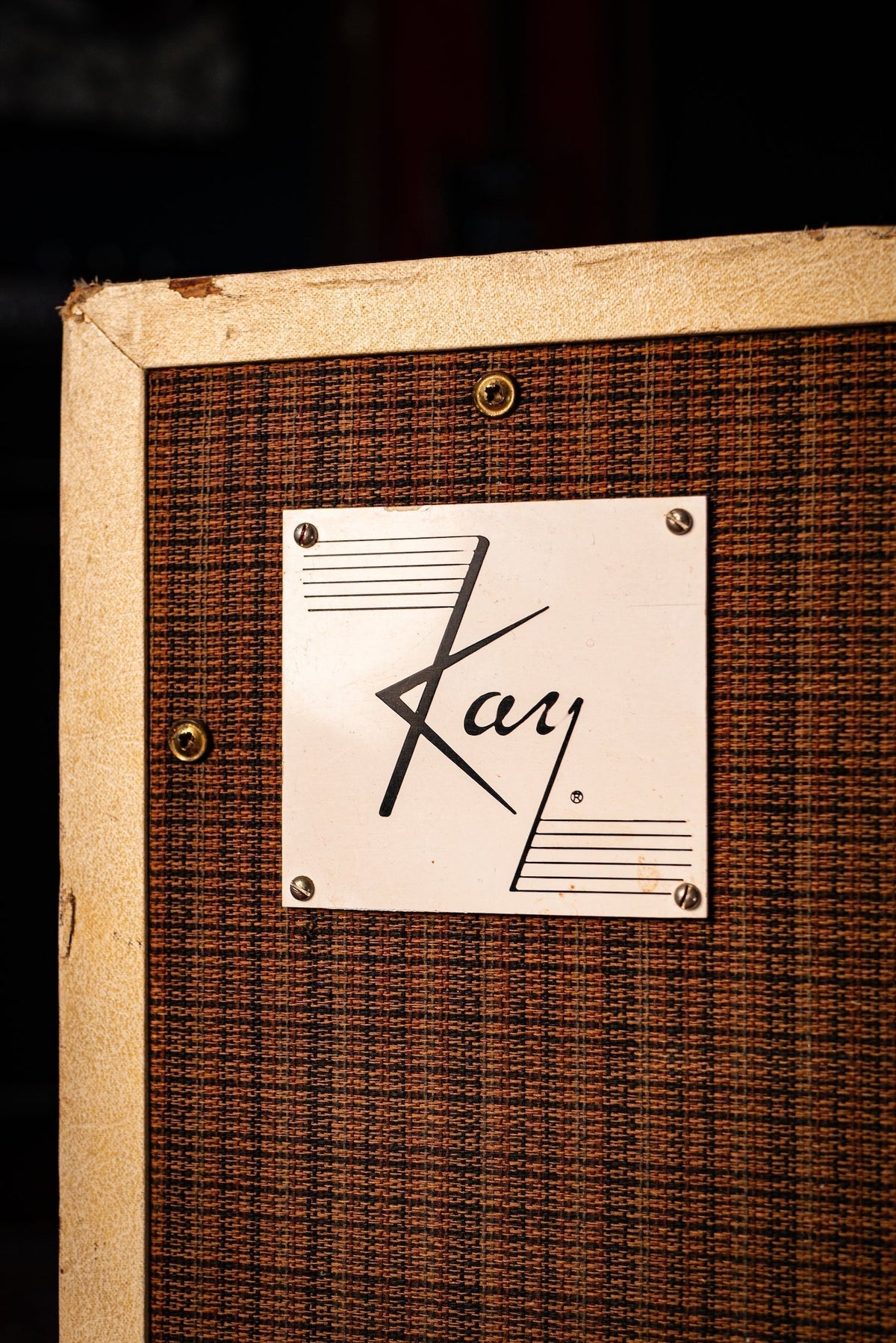 1965 Kay Model 720 Bass Combo Amp