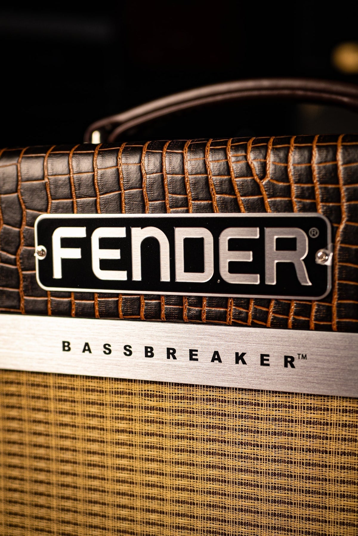 Fender Bassbreaker 30R Namm 2020 Combo Amp Alligator