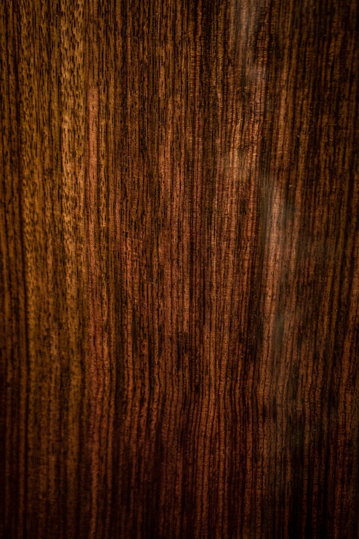 Gibson SJ-200 Studio Rosewood Acoustic-Electric Guitar - Rosewood Burst